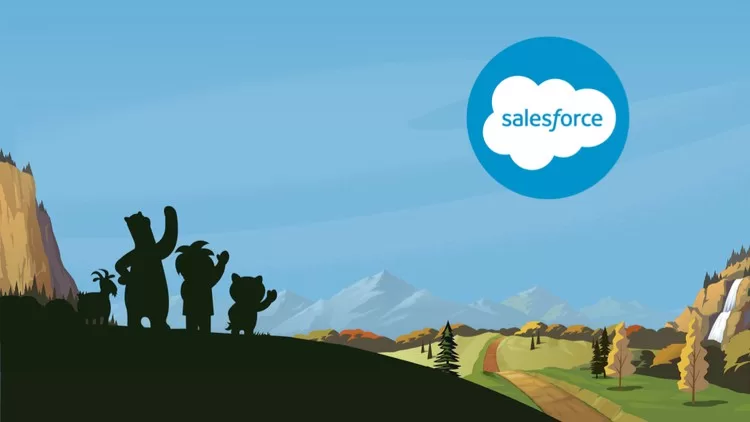 learn salesforce commerce cloud